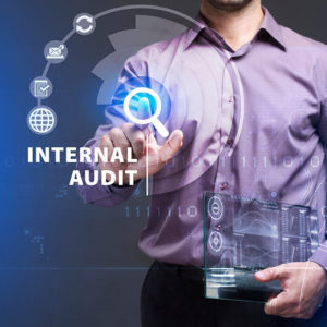 Internal audit skills