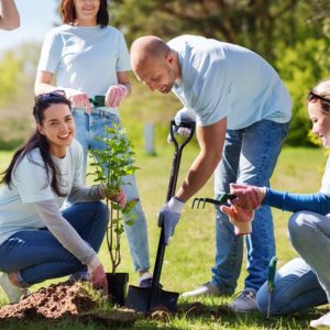 Diploma in Social Work Studies - Level 3