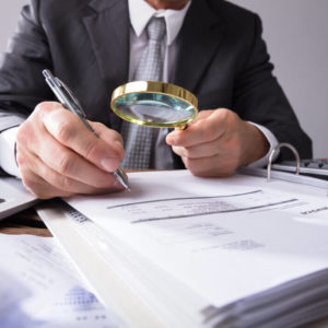 Financial Investigator